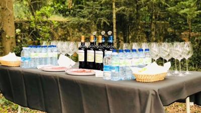 Picnic in front of the Pago de Larrainzar vineyard